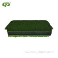 Última pràctica de golf Putting Mat Golf Play